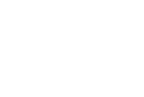 Echo Elements, Inc. logo
